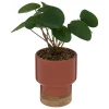 Plante artificielle*ATMOSPHERA Online