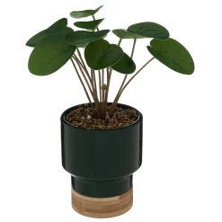 Plante artificielle*ATMOSPHERA Outlet