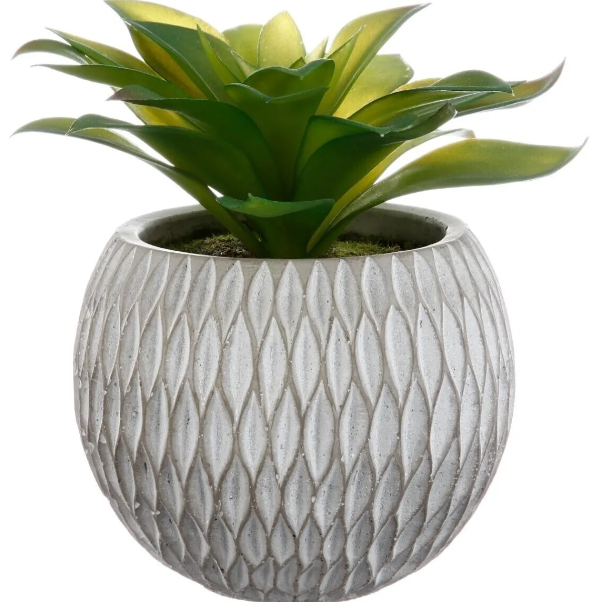 Plante grasse artificielle*ATMOSPHERA Hot