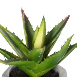 Plante grasse artificielle*ATMOSPHERA Sale