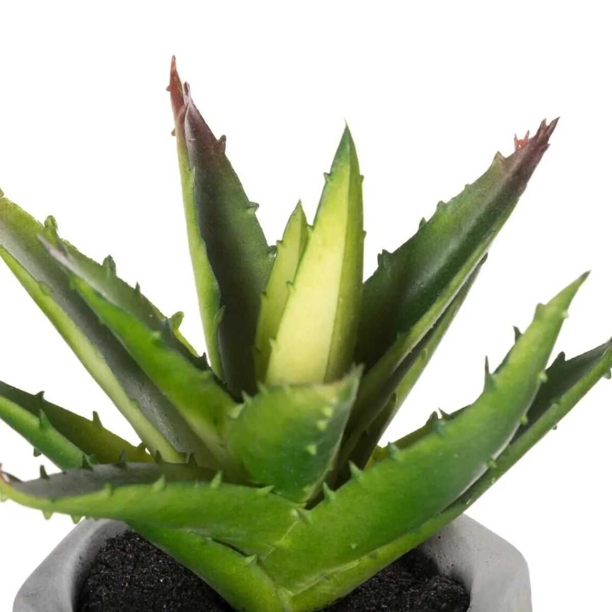 Plante grasse artificielle*ATMOSPHERA Sale