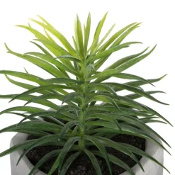 Plante grasse artificielle*ATMOSPHERA Sale