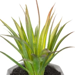 Plante grasse artificielle*ATMOSPHERA Sale