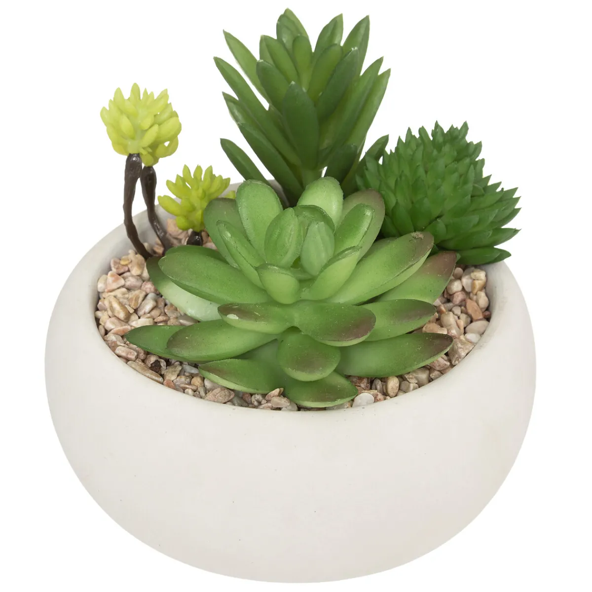 Plante grasse artificielle*ATMOSPHERA New