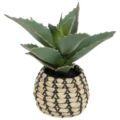 Plante Samouraï articifielle "Pio"*ATMOSPHERA Hot