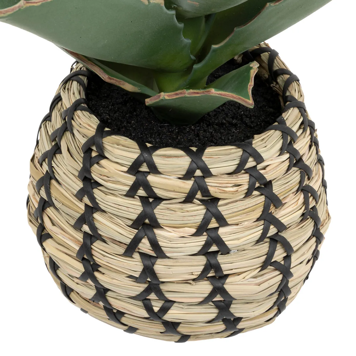 Plante Samouraï articifielle "Pio"*ATMOSPHERA Hot