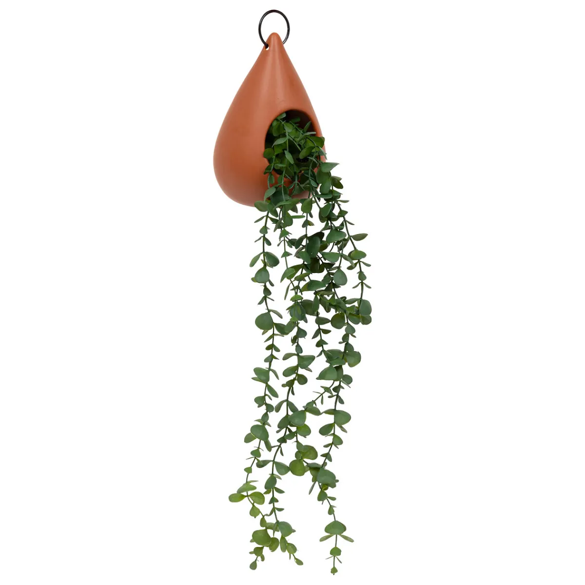 Plante suspendue goutte*ATMOSPHERA Outlet
