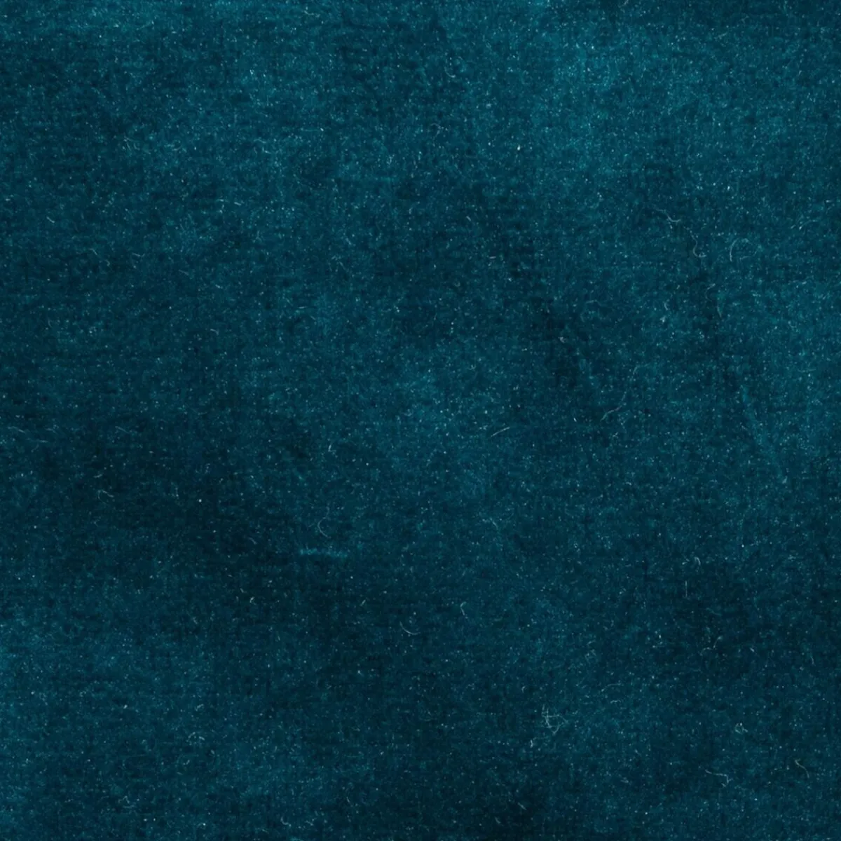 Rideau occultant "Dolce" velours*ATMOSPHERA Clearance