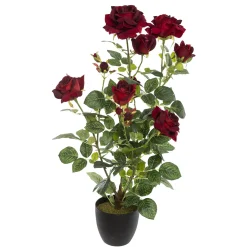 Rosier artificiel*ATMOSPHERA Online