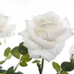 Rosier artificiel*ATMOSPHERA Online