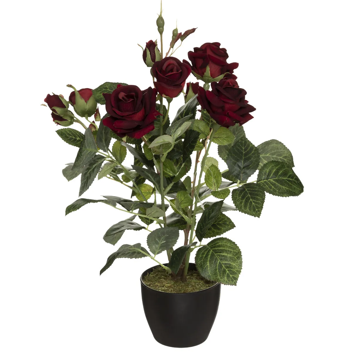 Rosier artificiel*ATMOSPHERA Hot