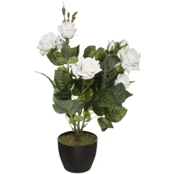 Rosier artificiel*ATMOSPHERA Hot