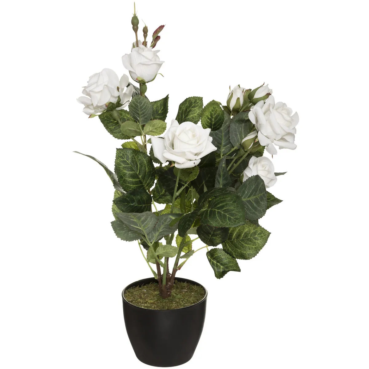 Rosier artificiel*ATMOSPHERA Hot