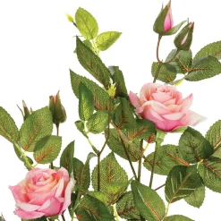 Rosier artificiel*ATMOSPHERA Hot