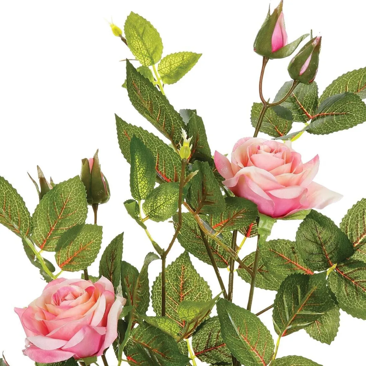 Rosier artificiel*ATMOSPHERA Hot