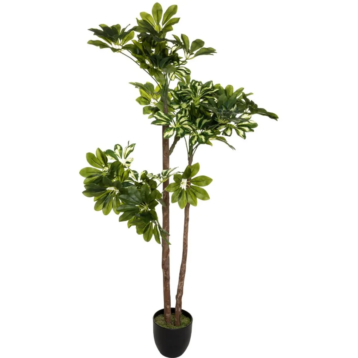 Schefflera artificiel*ATMOSPHERA Outlet
