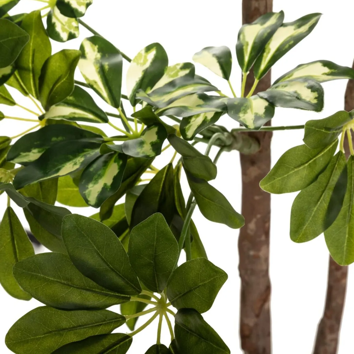 Schefflera artificiel*ATMOSPHERA Outlet