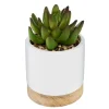 Succulente artificielle*ATMOSPHERA Best