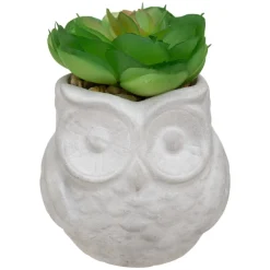 Succulente artificielle*ATMOSPHERA