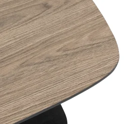 Table basse 1 étagère 