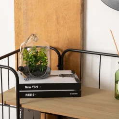 Terrarium artificiel suspendu "Family corner"*ATMOSPHERA Hot