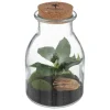 Terrarium "Bota", verre*ATMOSPHERA Hot