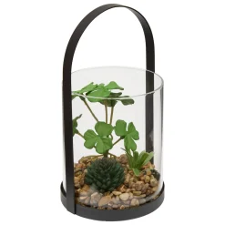 Terrarium "Wilo"*ATMOSPHERA