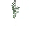 Tige d'eucalyptus artificiel*ATMOSPHERA Best