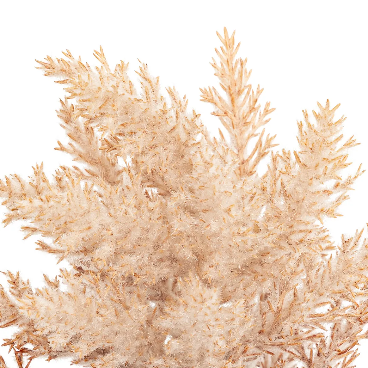 Tige gelée artificielle "James"*ATMOSPHERA Online