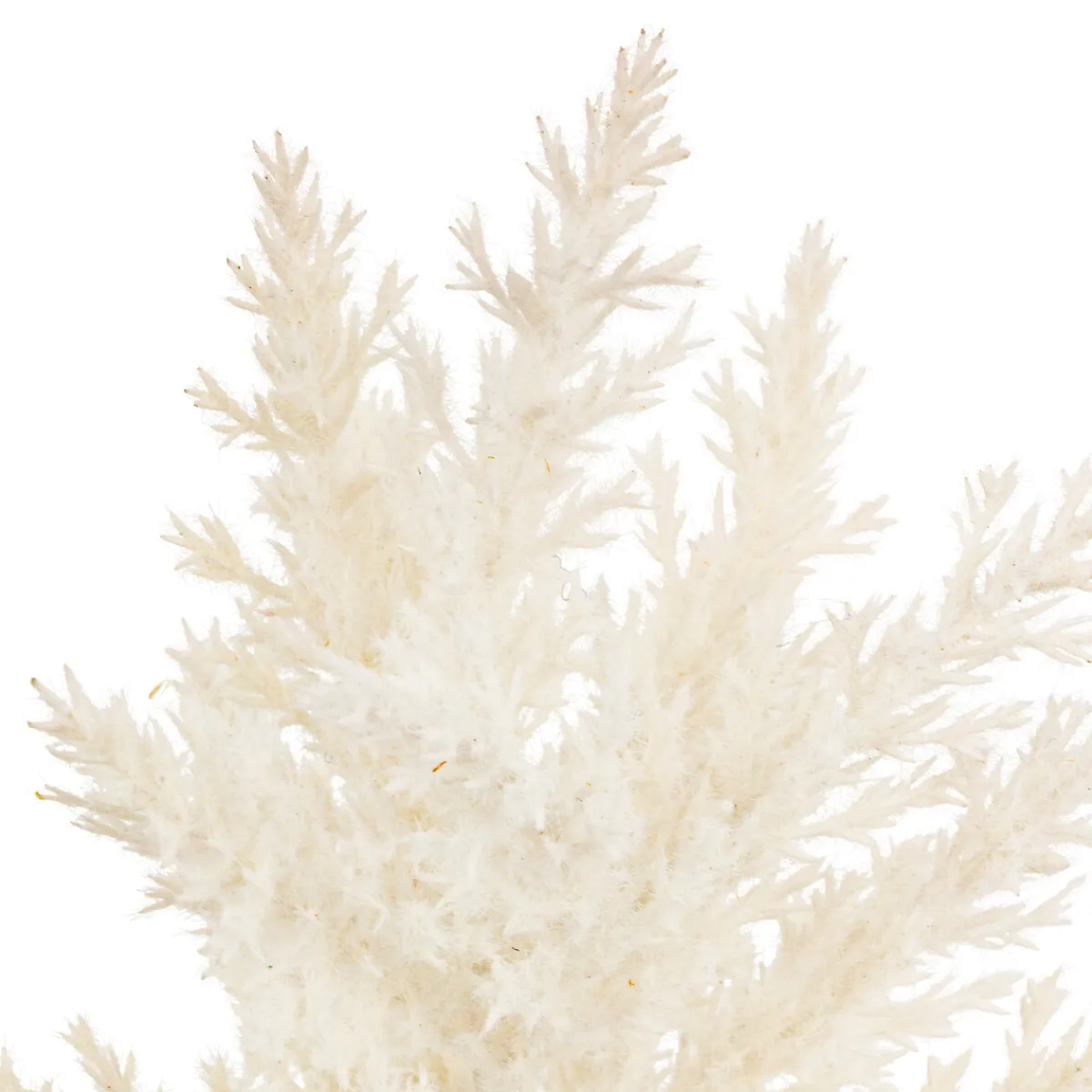 Tige gelée artificielle "James"*ATMOSPHERA Online