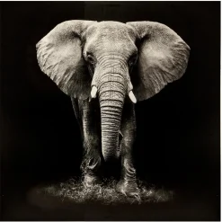 Toile imprimée "Animaux"*ATMOSPHERA Best