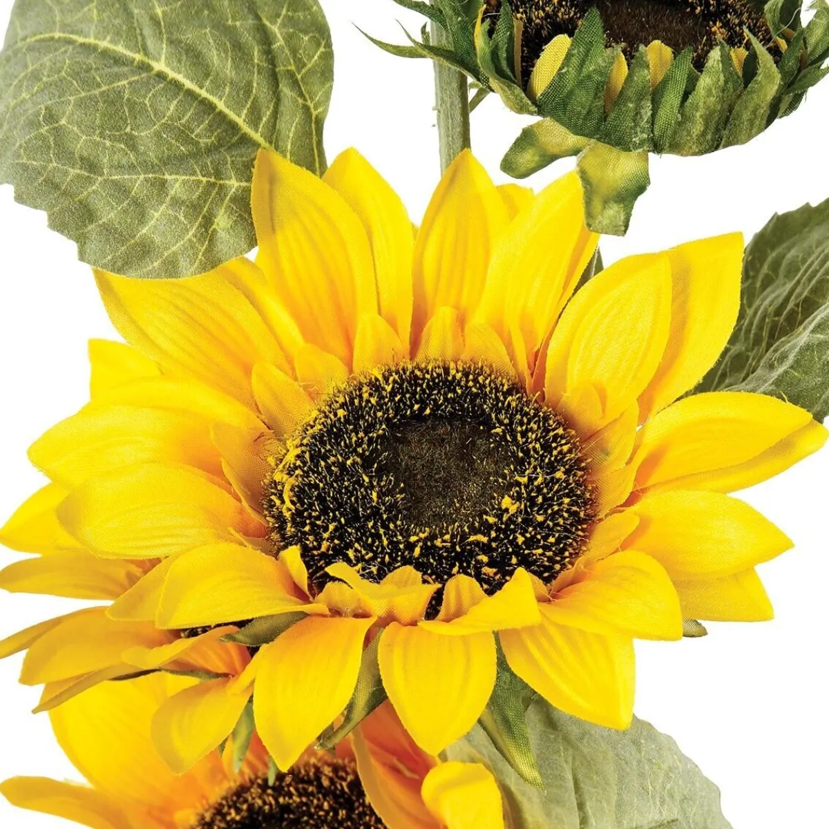Tournesol artificiel*ATMOSPHERA Online
